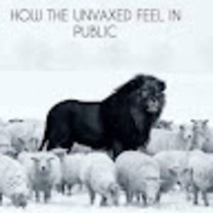 Meet your Posher, Harmonious